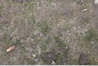 Photo Texture of Grass Dead 0001